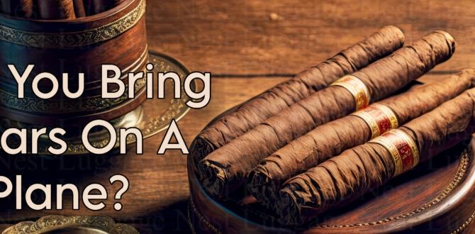 Airline policies on flying with cigars Can You Bring Cigars on a Plane